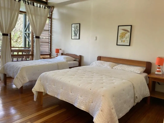 Standard Double room with balcony and with garden view