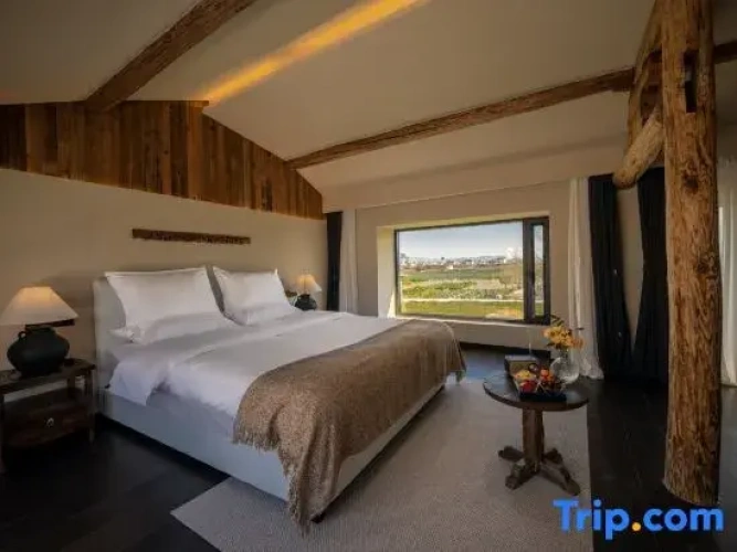 Standard Double room with balcony and with garden view