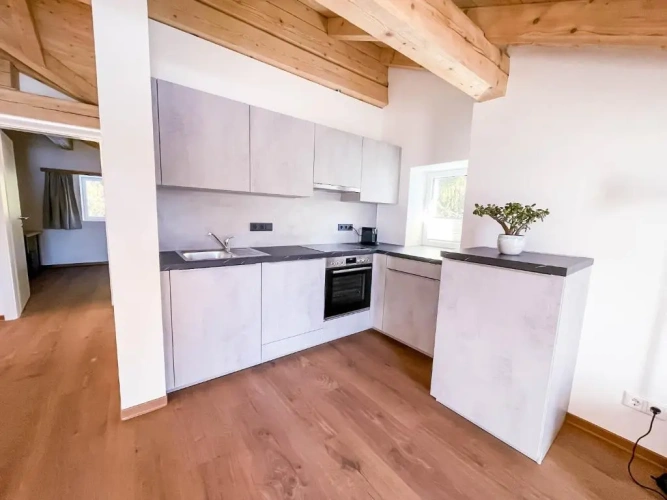 Apartment with garden view