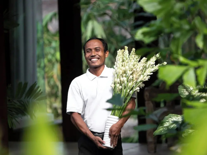 Villa Simona OasisOver view