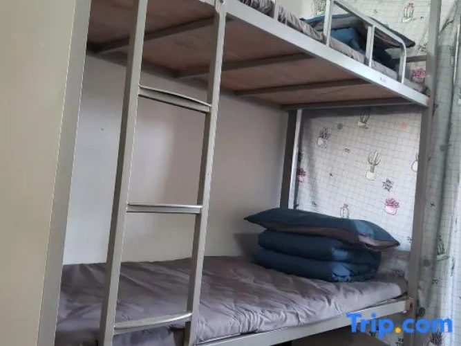 Bed in Dorm (male dorm)
