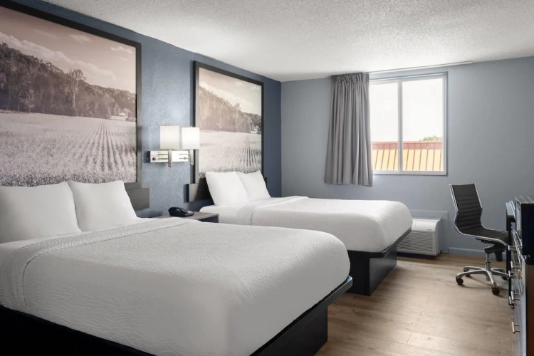 Quadruple Suite