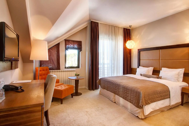 Hotel MIR