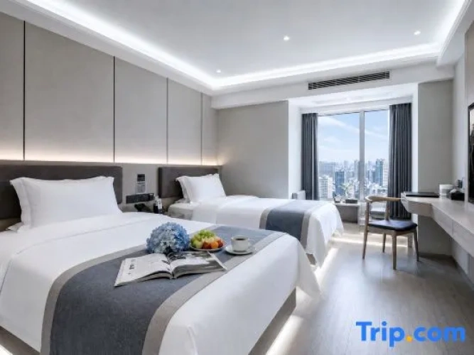 Deluxe Double room with city view