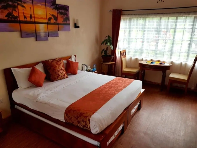 Standard Double room