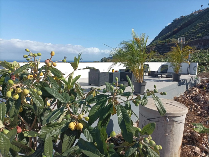 Vista Valle