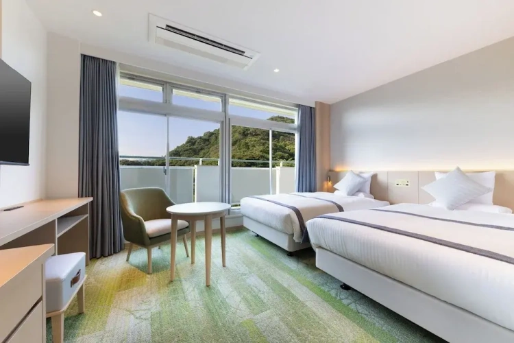 Superior Twin room with land view