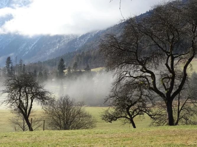 Stanglhof