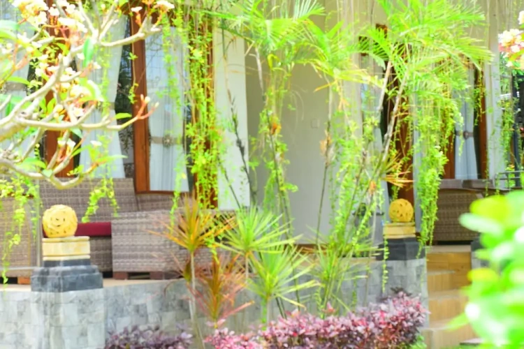 Premium Double room with garden view