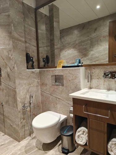 Premium Suite with city view