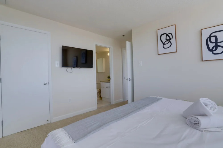 Gorgeous Apt with Rooftop City View