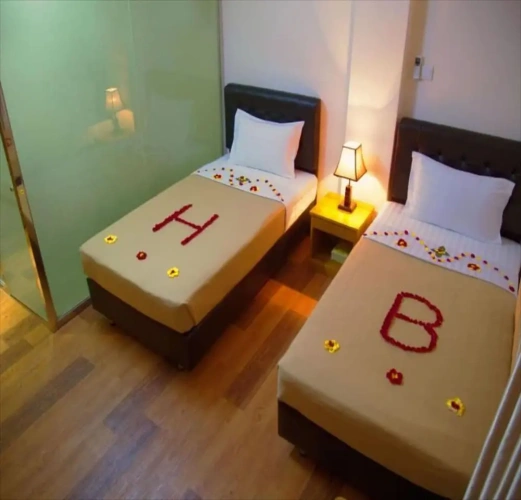 Deluxe Twin room