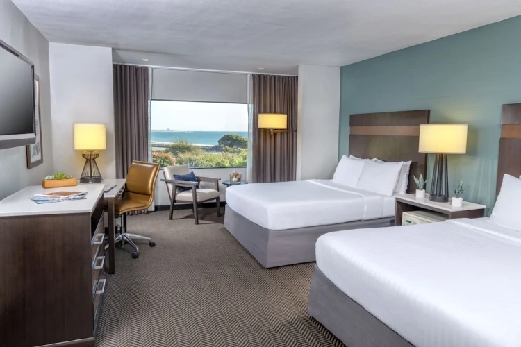 Standard Double Suite