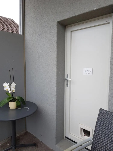 chez moumie