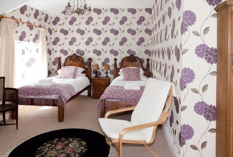Superior Twin room with view