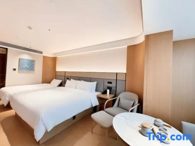 Standard Twin Family room