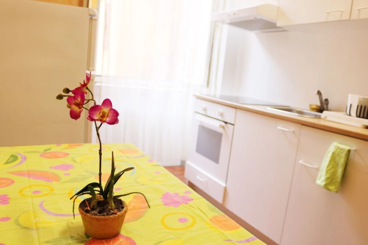 77case - Cozy Apartment 73