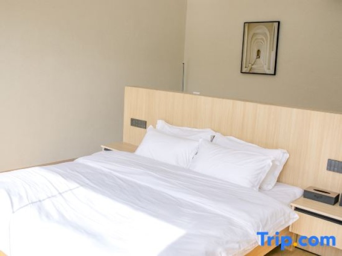 Standard Double room with lake view