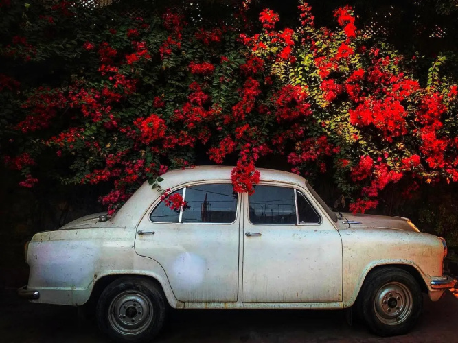 Adhbhut Hotel Jaipur