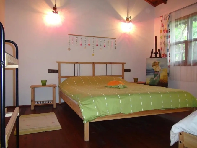 Standard Family room