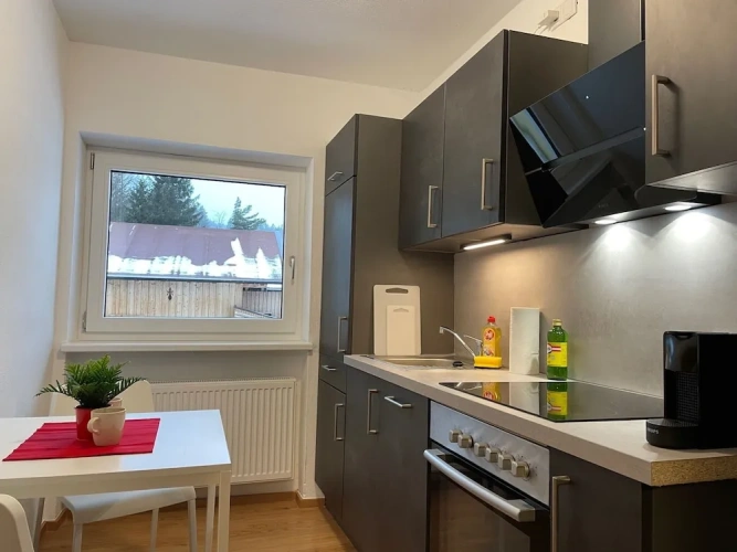 1 Bedroom Apartment with balcony and with mountain view