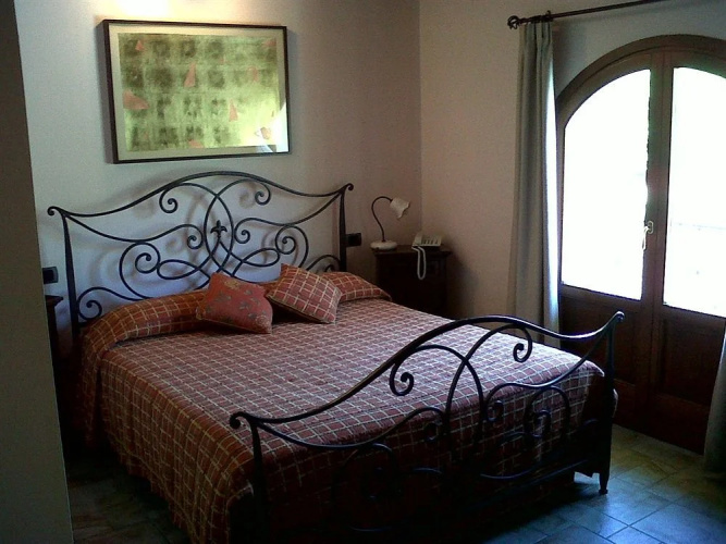 Daily Bed