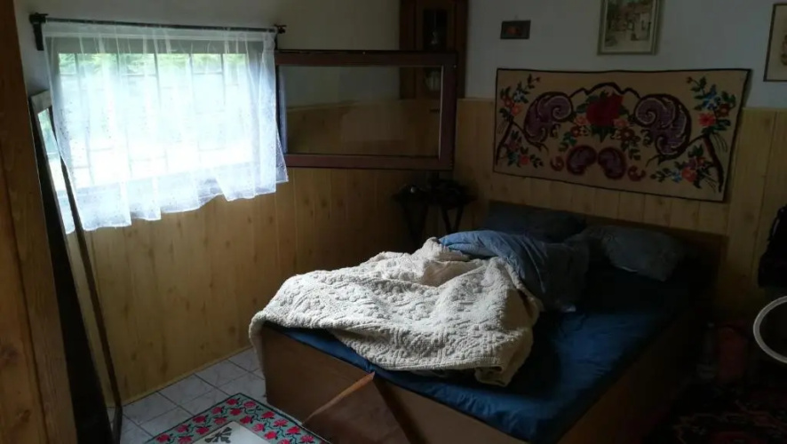 Cabana Pietricica
