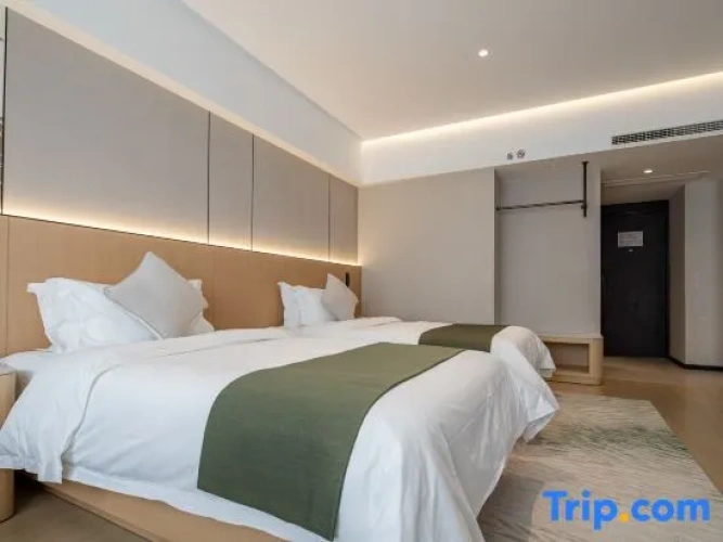Executive Twin room