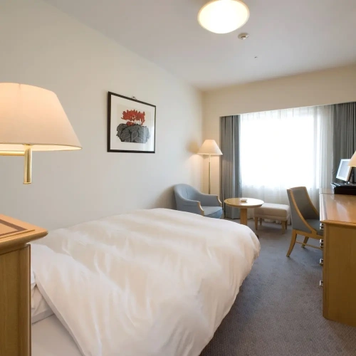 Deluxe Single room