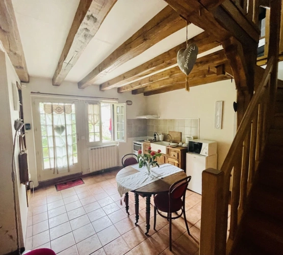 Duplex Studio with garden view