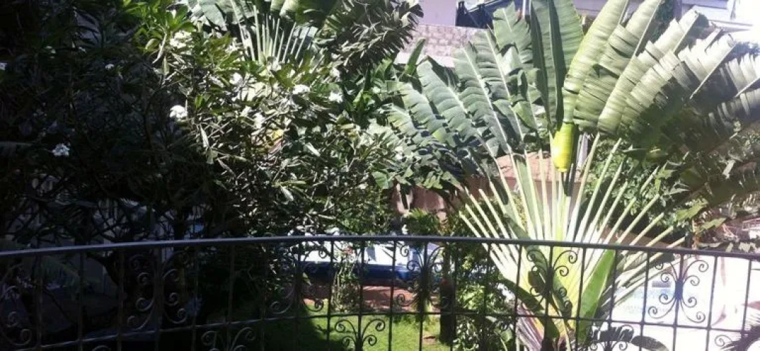 Bougainvilla Hotel