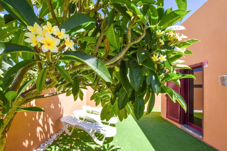 Fuerte Holiday Casa & Terrazza with Pool