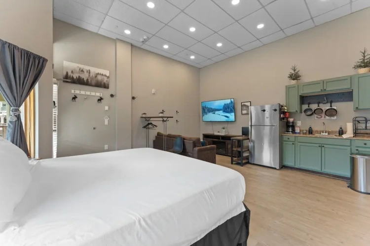 1 Bedroom Apartment