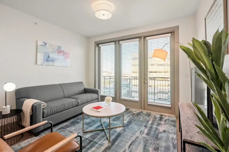 Arlington Upscale 2BD 2BA Apartment