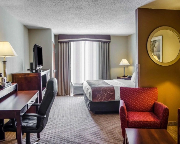 1 Bedroom Suite