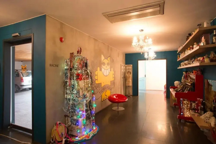 Pin & Fit House