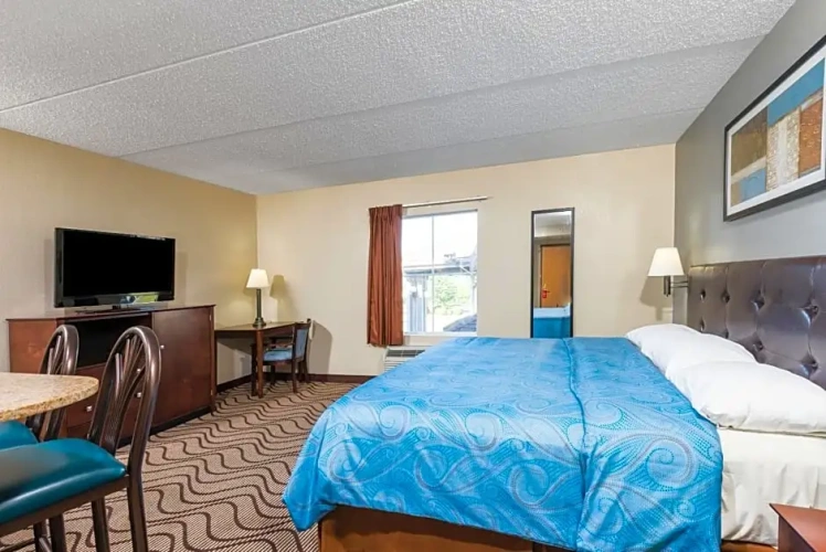 Single Suite