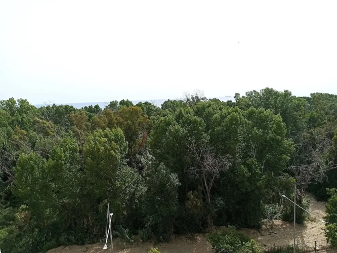 Studio Sea View in Durres Plazh