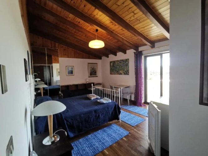 Standard Double room with balcony and with view