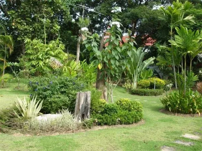 Suwan Guesthouse & Resort