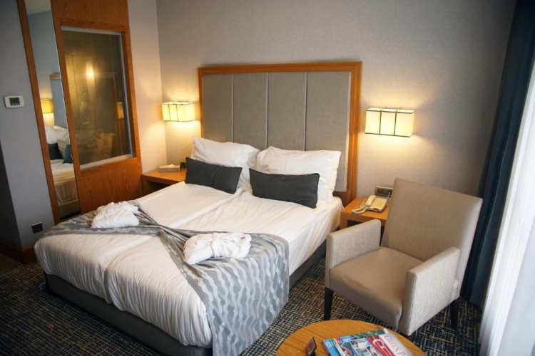 Standard Double room with garden view