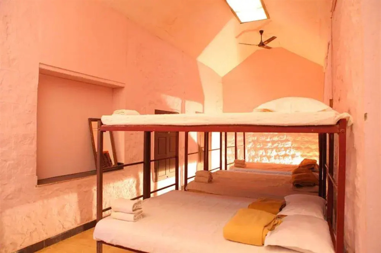 Forest Haven Resort