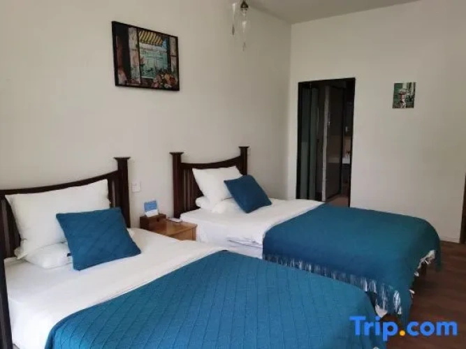 Standard Twin room with pool view
