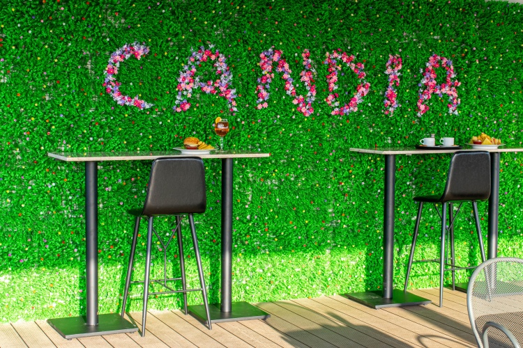 Candia Hotel photo 28