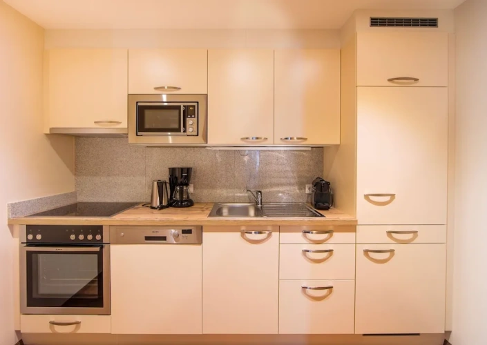 1 Bedroom Comfort Apartment with balcony and with mountain view