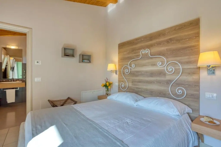 Standard Double room with pool view