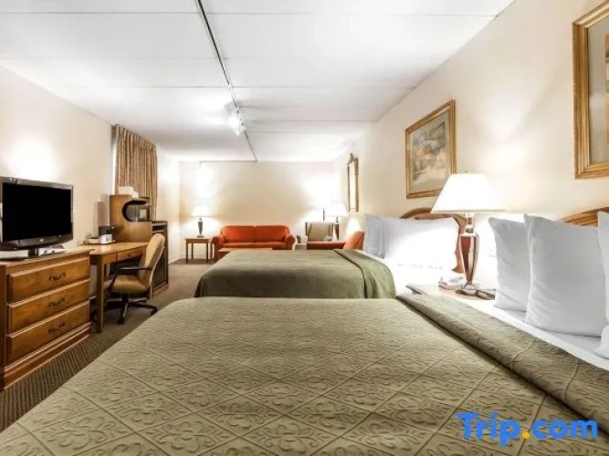 Quadruple Suite