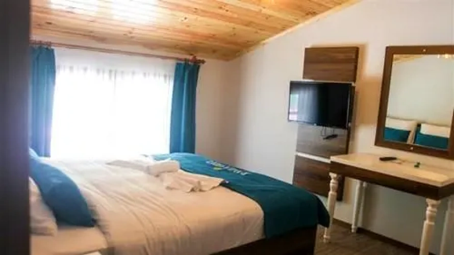 1 Bedroom Apartment with mountain view