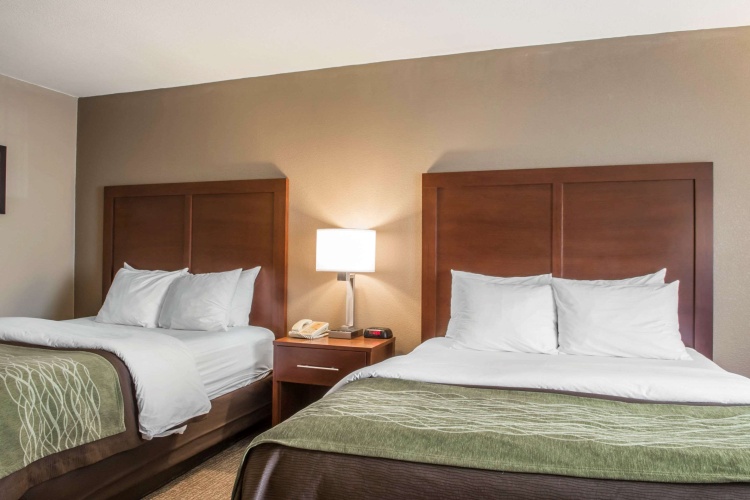 Standard Quadruple room