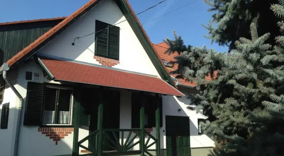 Solt Pince, Panzió